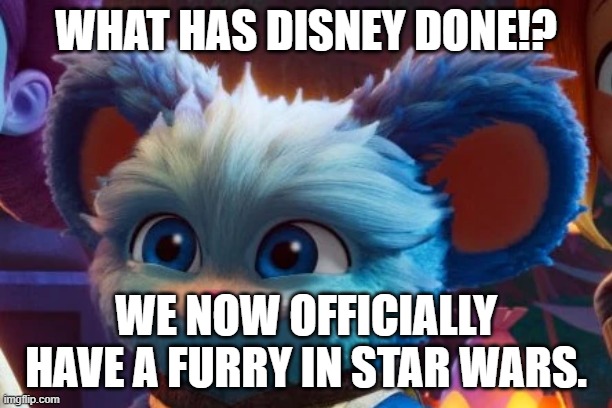 Stupid Furry | WHAT HAS DISNEY DONE!? WE NOW OFFICIALLY HAVE A FURRY IN STAR WARS. | made w/ Imgflip meme maker