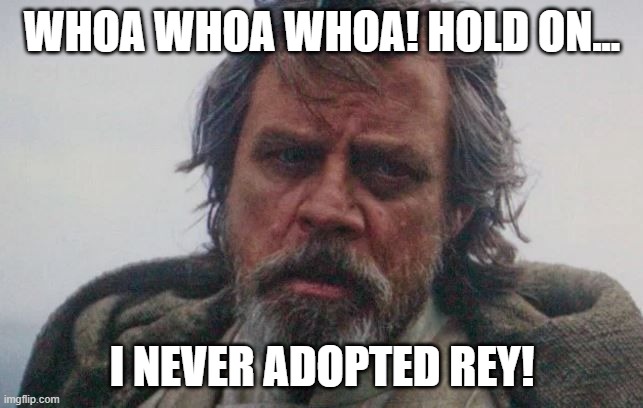 Adoption | WHOA WHOA WHOA! HOLD ON... I NEVER ADOPTED REY! | image tagged in old luke bolado | made w/ Imgflip meme maker