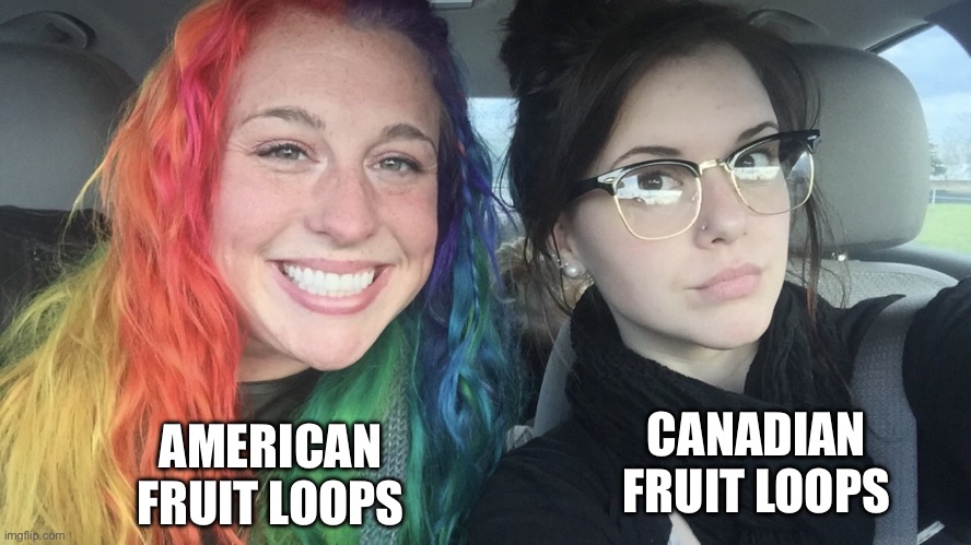 tbh the American ones are literally trix but in cheerio form | AMERICAN FRUIT LOOPS; CANADIAN FRUIT LOOPS | image tagged in rainbow hair and goth,cereal | made w/ Imgflip meme maker