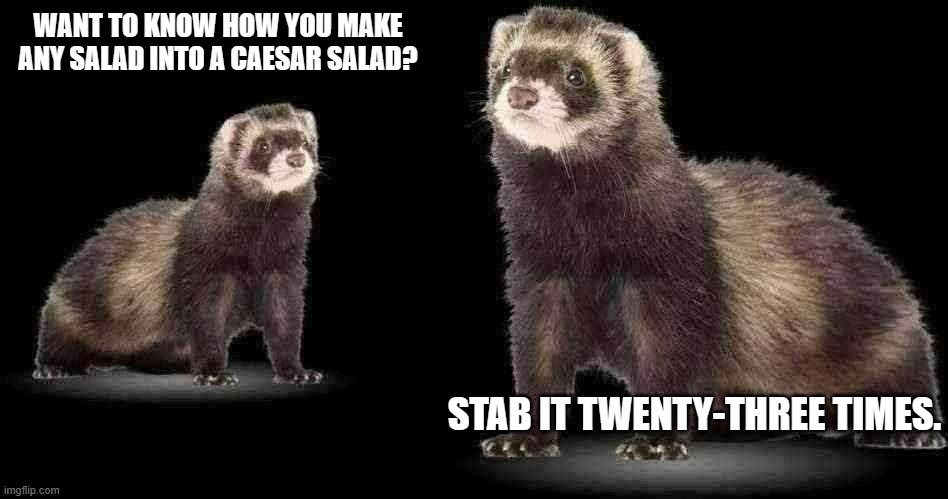 wtf ferret | WANT TO KNOW HOW YOU MAKE ANY SALAD INTO A CAESAR SALAD? STAB IT TWENTY-THREE TIMES. | image tagged in dark humor | made w/ Imgflip meme maker