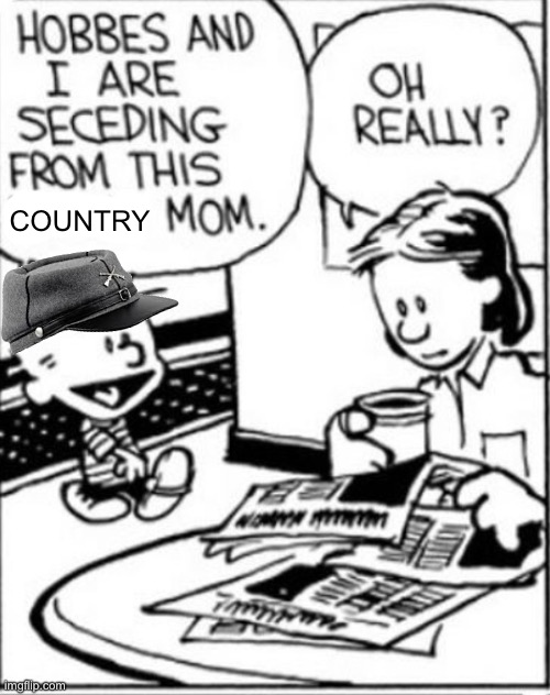 COUNTRY | made w/ Imgflip meme maker
