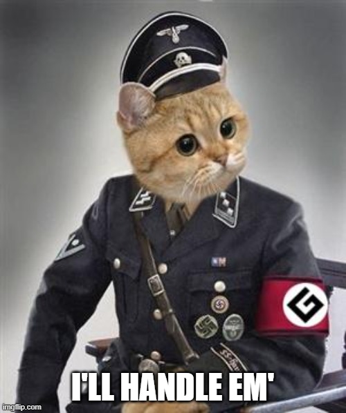 Grammar Nazi Cat | I'LL HANDLE EM' | image tagged in grammar nazi cat | made w/ Imgflip meme maker