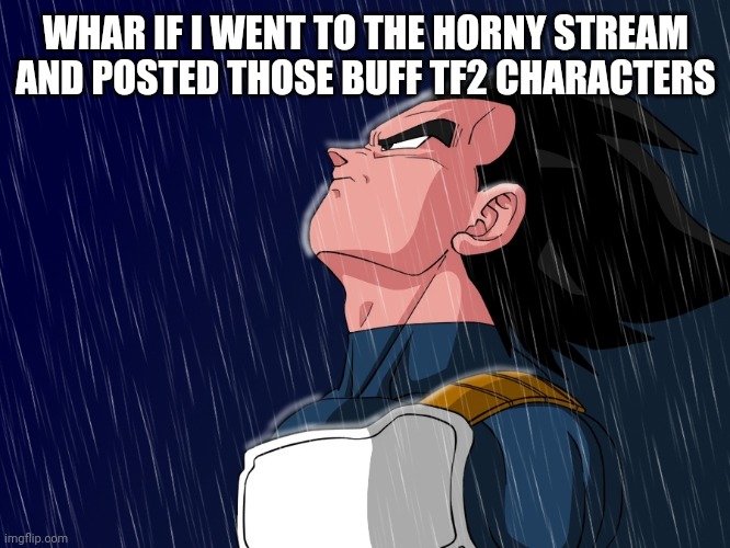 Permission to do tomfoolery? | WHAR IF I WENT TO THE HORNY STREAM AND POSTED THOSE BUFF TF2 CHARACTERS | image tagged in vegeta | made w/ Imgflip meme maker