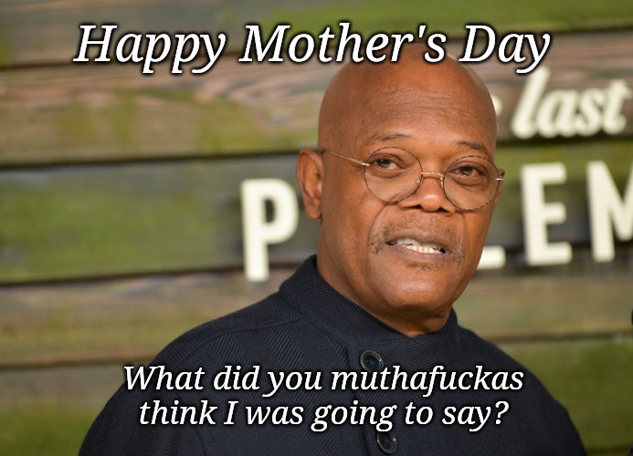 Sam Jackson Mother's Day | Happy Mother's Day; What did you muthafuckas think I was going to say? | image tagged in mothers day,samuel l jackson | made w/ Imgflip meme maker