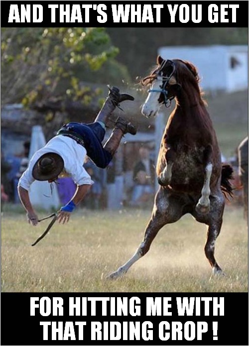 Horsie Revenge ! | AND THAT'S WHAT YOU GET; FOR HITTING ME WITH
 THAT RIDING CROP ! | image tagged in horses,revenge,dark humour | made w/ Imgflip meme maker