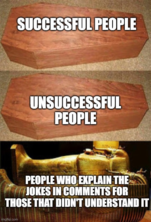 Golden coffin meme | SUCCESSFUL PEOPLE; UNSUCCESSFUL PEOPLE; PEOPLE WHO EXPLAIN THE JOKES IN COMMENTS FOR THOSE THAT DIDN'T UNDERSTAND IT | image tagged in golden coffin meme | made w/ Imgflip meme maker