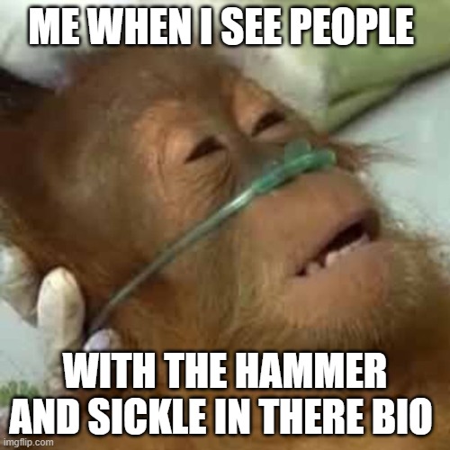 Dying orangutan | ME WHEN I SEE PEOPLE; WITH THE HAMMER AND SICKLE IN THERE BIO | image tagged in dying orangutan | made w/ Imgflip meme maker