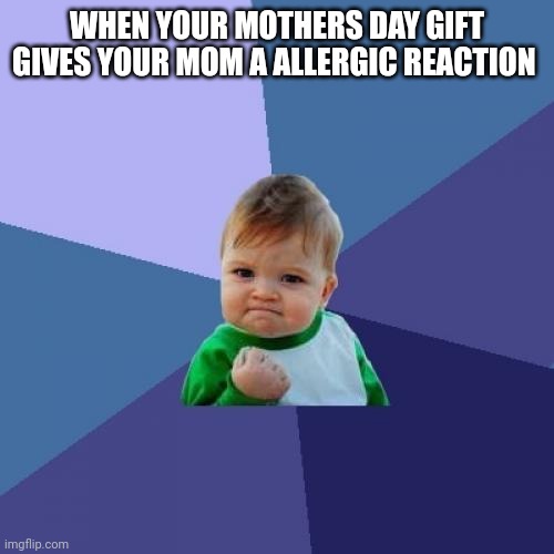 Oops | WHEN YOUR MOTHERS DAY GIFT GIVES YOUR MOM A ALLERGIC REACTION | image tagged in memes,success kid | made w/ Imgflip meme maker