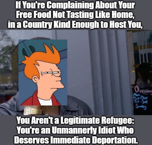 Roll, Fry--Roll! | image tagged in roll safe,futurama fry,refugees,fakeugees,war on whites,antiwhite agendas | made w/ Imgflip meme maker