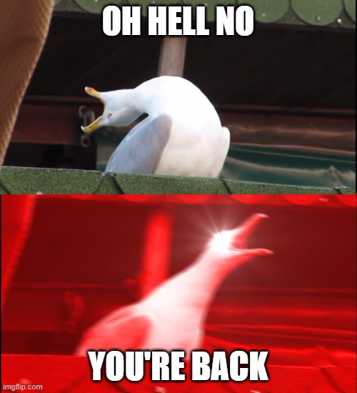 OH HELL NO YOU'RE BACK | image tagged in screaming bird | made w/ Imgflip meme maker