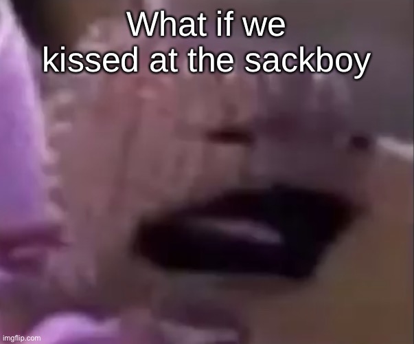 Sackboy | What if we kissed at the sackboy | image tagged in sackboy | made w/ Imgflip meme maker