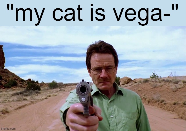 Walter white gun | "my cat is vega-" | image tagged in walter white gun | made w/ Imgflip meme maker