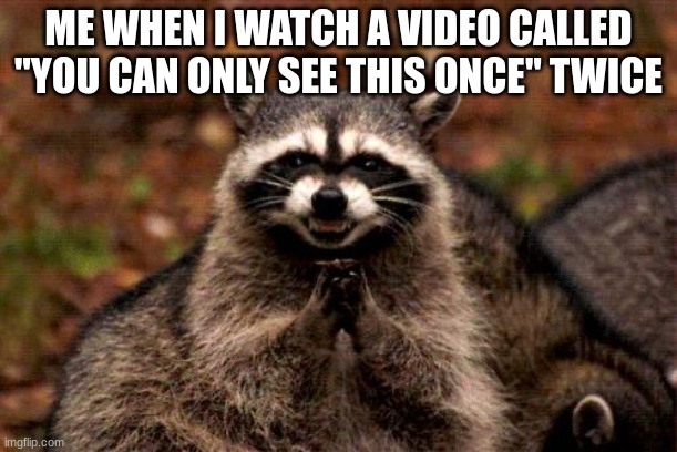 Evil Plotting Raccoon | ME WHEN I WATCH A VIDEO CALLED "YOU CAN ONLY SEE THIS ONCE" TWICE | image tagged in memes,evil plotting raccoon | made w/ Imgflip meme maker