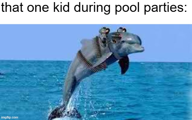 i was that kid | that one kid during pool parties: | image tagged in military dolphin,relatable,that one kid,party,funny memes | made w/ Imgflip meme maker