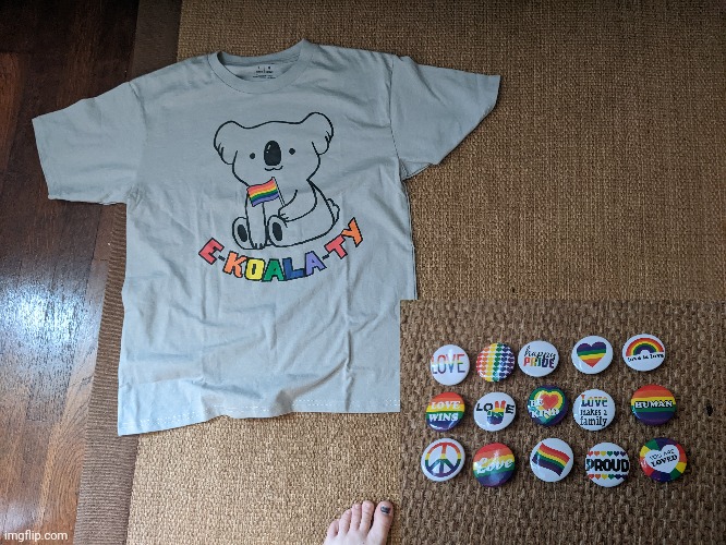 I GOT A PRIDE SHIRT AND 15 BUTTONS!!!!! ?️‍??️‍??️‍??️‍? | image tagged in lgbtq | made w/ Imgflip meme maker