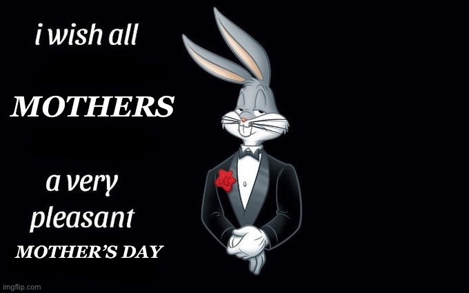 Happy Mothers Day :D (even tho this platform probably doesn’t have much moms active XD) | MOTHERS; MOTHER’S DAY | image tagged in i wish all the x a very pleasant evening | made w/ Imgflip meme maker