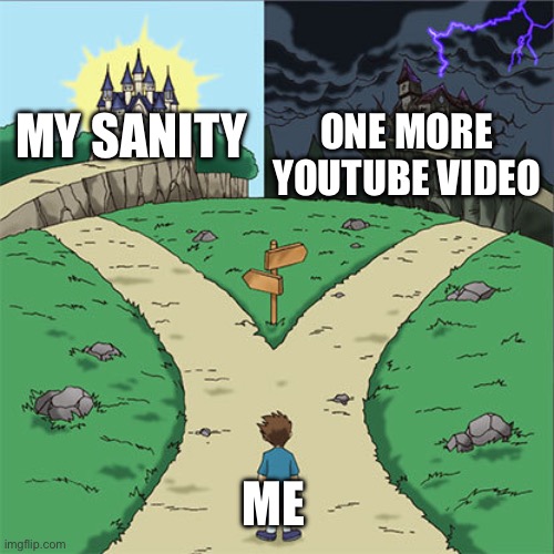 Two Paths | MY SANITY; ONE MORE YOUTUBE VIDEO; ME | image tagged in two paths,memes | made w/ Imgflip meme maker