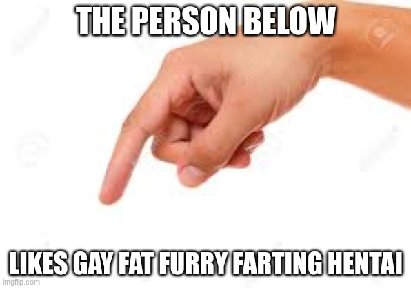 SILLY TIME! | THE PERSON BELOW; LIKES GAY FAT FURRY FARTING HENTAI | image tagged in the person below | made w/ Imgflip meme maker