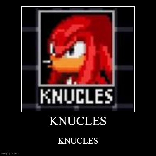 KNUCLES | KNUCLES | image tagged in funny,demotivationals,knucles,sonic | made w/ Imgflip demotivational maker