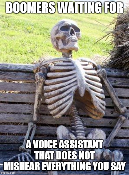 Will never happen | BOOMERS WAITING FOR; A VOICE ASSISTANT THAT DOES NOT MISHEAR EVERYTHING YOU SAY | image tagged in memes,waiting skeleton,ill just wait here,technology,error 404 | made w/ Imgflip meme maker