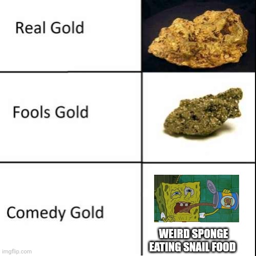 Sponge eating snail food? Now that's comedy gold right there!!! | WEIRD SPONGE EATING SNAIL FOOD | image tagged in comedy gold | made w/ Imgflip meme maker