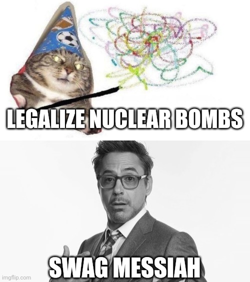 SWAG MESSIAH LEGALIZE NUCLEAR BOMBS | image tagged in cat wizard,robert downey jr's comments | made w/ Imgflip meme maker