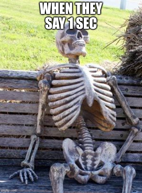 Waiting Skeleton | WHEN THEY SAY 1 SEC | image tagged in memes,waiting skeleton | made w/ Imgflip meme maker