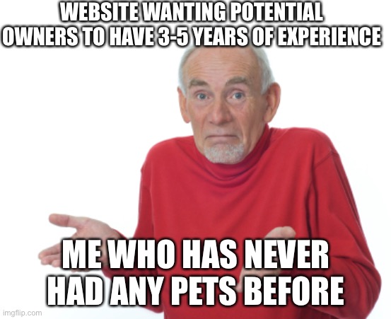 Guess I'll die  | WEBSITE WANTING POTENTIAL OWNERS TO HAVE 3-5 YEARS OF EXPERIENCE ME WHO HAS NEVER HAD ANY PETS BEFORE | image tagged in guess i'll die | made w/ Imgflip meme maker