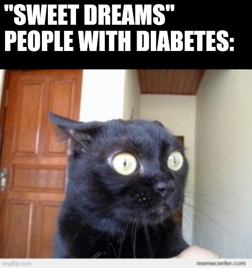 No offense to anyone who has diabetes. | "SWEET DREAMS"
PEOPLE WITH DIABETES: | image tagged in scared cat | made w/ Imgflip meme maker