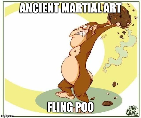 Monkey poo | ANCIENT MARTIAL ART FLING POO | image tagged in monkey poo | made w/ Imgflip meme maker