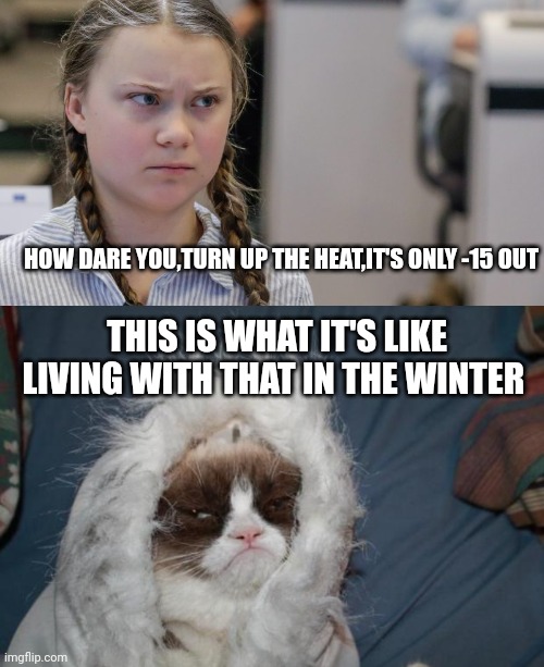 HOW DARE YOU,TURN UP THE HEAT,IT'S ONLY -15 OUT; THIS IS WHAT IT'S LIKE LIVING WITH THAT IN THE WINTER | image tagged in pissedoff greta,cold grumpy cat | made w/ Imgflip meme maker