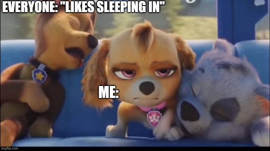 How Does No One Hate This????? | EVERYONE: "LIKES SLEEPING IN"; ME: | image tagged in skye ugh,paw patrol,skye | made w/ Imgflip meme maker