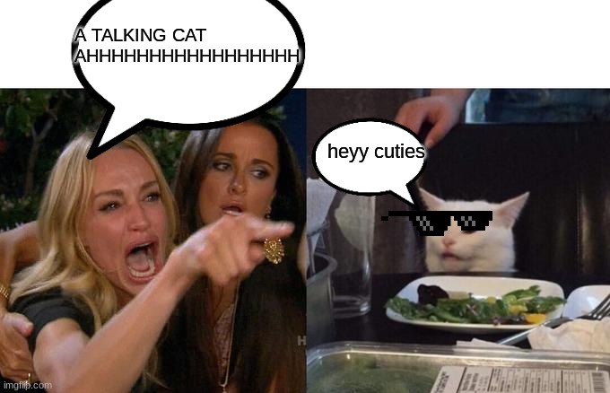 XD | A TALKING CAT AHHHHHHHHHHHHHHHHH; heyy cuties | image tagged in memes,woman yelling at cat | made w/ Imgflip meme maker