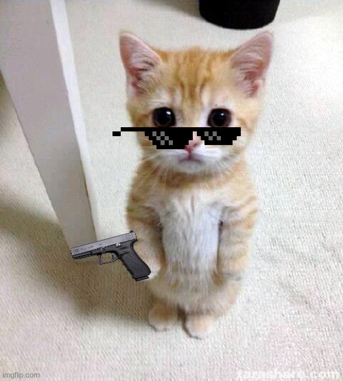 waaaaaaaaaaaaaaaaaaaaaaaaaaaaaaaa | image tagged in memes,cute cat | made w/ Imgflip meme maker