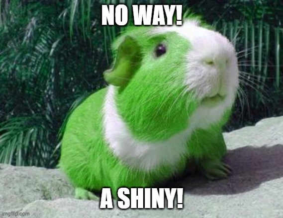 A Shiny Morpeko appeared! | NO WAY! A SHINY! | image tagged in green guinea pig | made w/ Imgflip meme maker