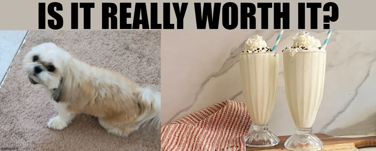 IS IT REALLY WORTH IT? | made w/ Imgflip meme maker