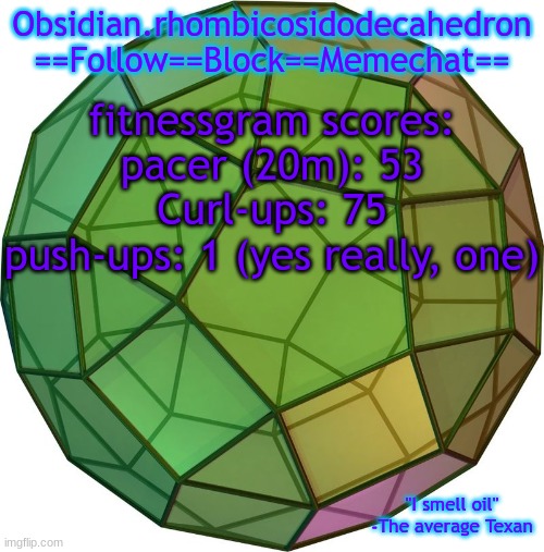 share your fitnessgram scores in the comments | fitnessgram scores:
pacer (20m): 53
Curl-ups: 75
push-ups: 1 (yes really, one) | image tagged in obi's temp 1 | made w/ Imgflip meme maker