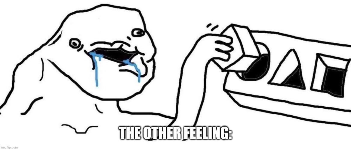 Brainlet blocks | THE OTHER FEELING: | image tagged in brainlet blocks | made w/ Imgflip meme maker