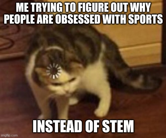 Loading cat | ME TRYING TO FIGURE OUT WHY PEOPLE ARE OBSESSED WITH SPORTS; INSTEAD OF STEM | image tagged in loading cat | made w/ Imgflip meme maker