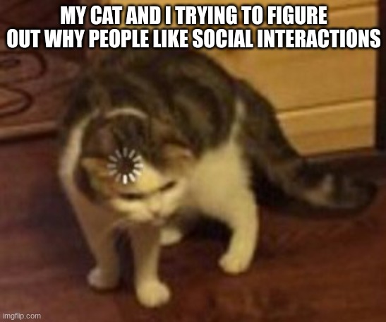 Loading cat | MY CAT AND I TRYING TO FIGURE OUT WHY PEOPLE LIKE SOCIAL INTERACTIONS | image tagged in loading cat | made w/ Imgflip meme maker