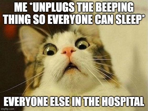 i hope this DOES NOT happen | ME *UNPLUGS THE BEEPING THING SO EVERYONE CAN SLEEP*; EVERYONE ELSE IN THE HOSPITAL | image tagged in memes,scared cat | made w/ Imgflip meme maker