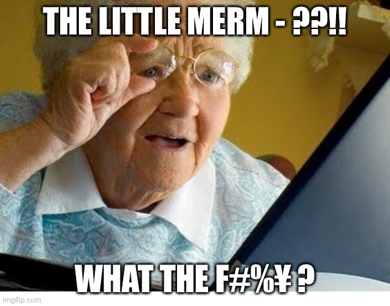 old lady at computer | THE LITTLE MERM - ??!! WHAT THE F#%¥ ? | image tagged in old lady at computer | made w/ Imgflip meme maker