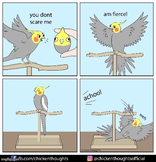 image tagged in birb,frost | made w/ Imgflip meme maker