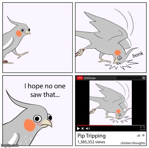 image tagged in birb,frost | made w/ Imgflip meme maker