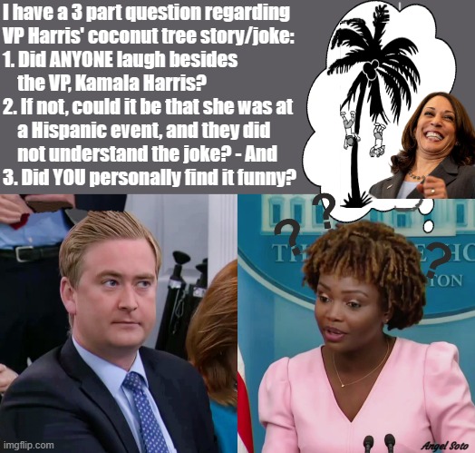 peter doocy asks press secretary about kamala's lame coconut joke | I have a 3 part question regarding
VP Harris' coconut tree story/joke:
1. Did ANYONE laugh besides
    the VP, Kamala Harris?
2. If not, could it be that she was at
    a Hispanic event, and they did
    not understand the joke? - And
3. Did YOU personally find it funny? Angel Soto | image tagged in peter doocy,press secretary,kamala harris,hispanic,coconut tree,joke | made w/ Imgflip meme maker