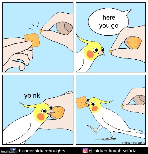 image tagged in birb,frost | made w/ Imgflip meme maker