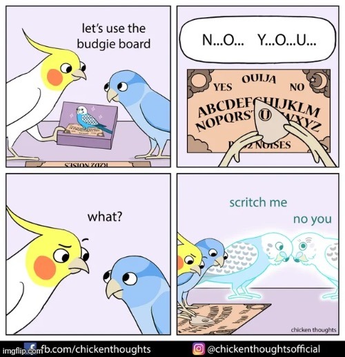 image tagged in birb,frost | made w/ Imgflip meme maker