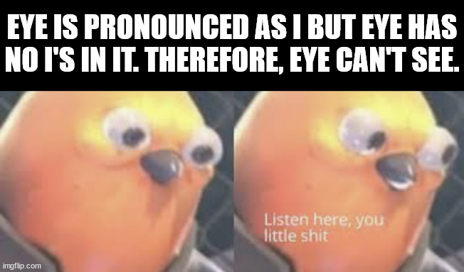 the hills have i's | EYE IS PRONOUNCED AS I BUT EYE HAS NO I'S IN IT. THEREFORE, EYE CAN'T SEE. | image tagged in listen here you little shit bird,wordplay | made w/ Imgflip meme maker