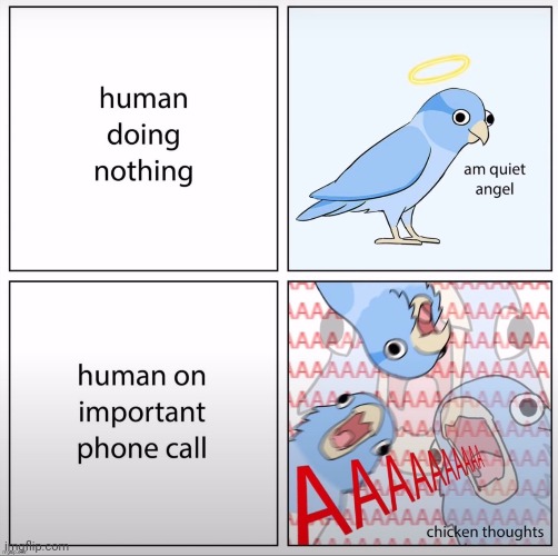 image tagged in birb,frost | made w/ Imgflip meme maker