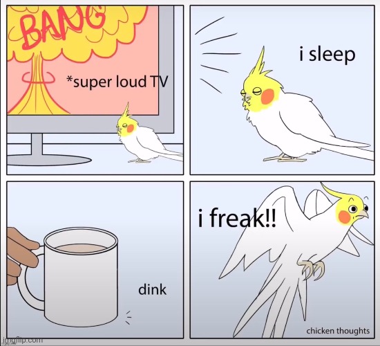 image tagged in birb,frost | made w/ Imgflip meme maker